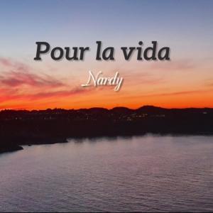 ดาวน์โหลดและฟังเพลง Pour la vida (Explicit) พร้อมเนื้อเพลงจาก Nardy