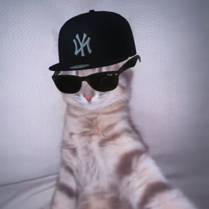 收聽Daryl的Party All Night (Explicit)歌詞歌曲