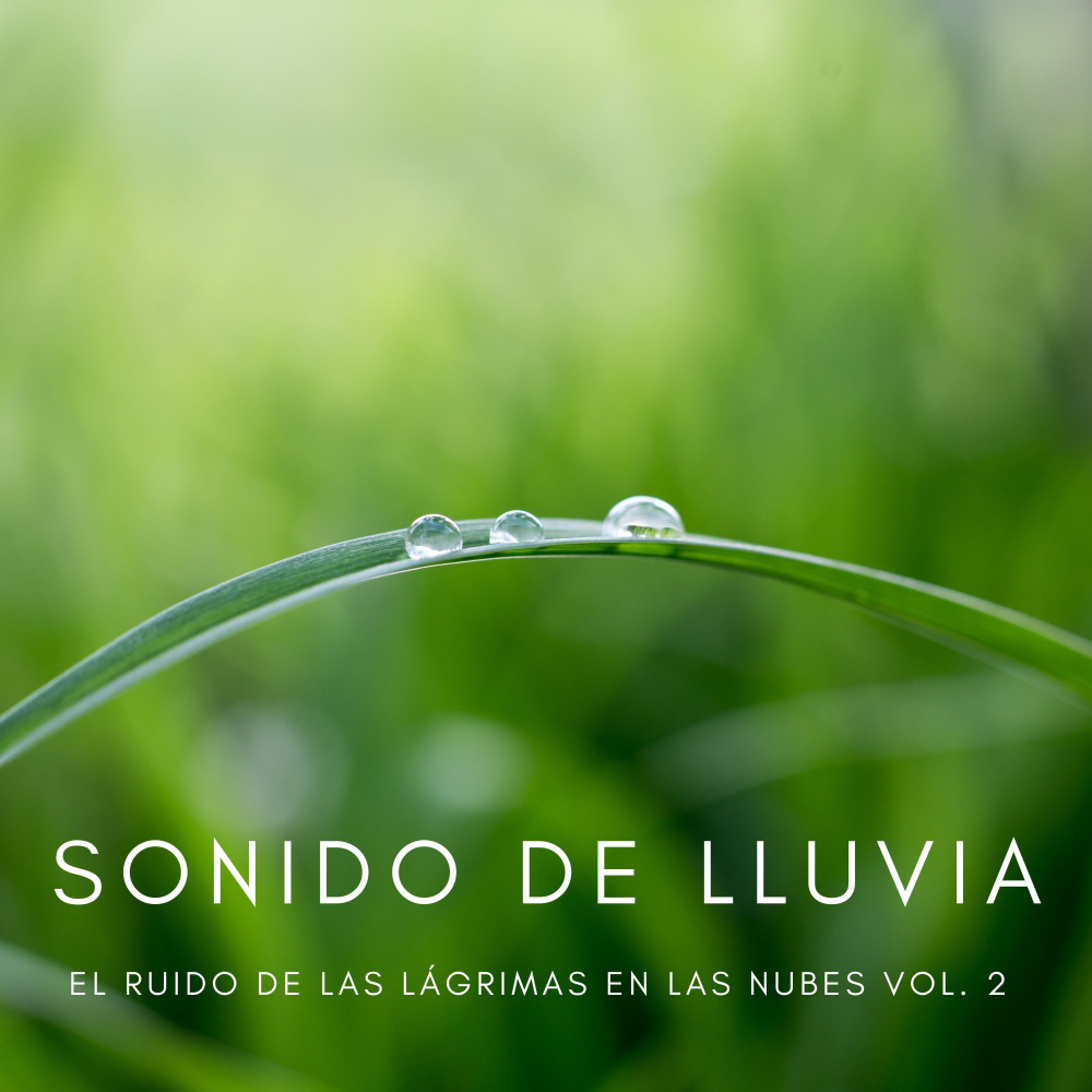 Días Lluviosos Y Buenos Momentos