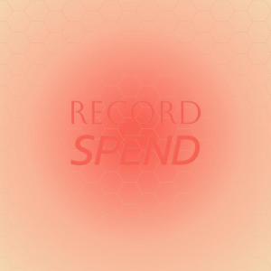 Various Artists的专辑Record Spend