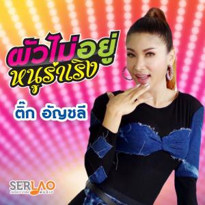 Listen to ผัวไม่อยู่ หนูร่าเริง song with lyrics from ติ๊ก อัญชลี เซอร์ลาว