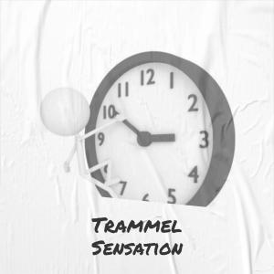 Various的专辑Trammel Sensation