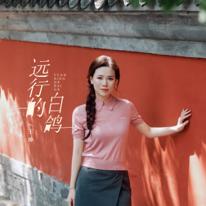 收聽王帥的遠行的白鴿歌詞歌曲