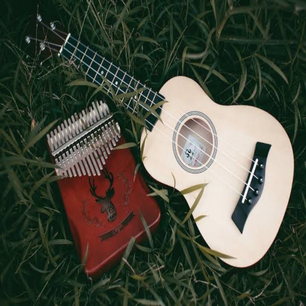 Melody India Punya