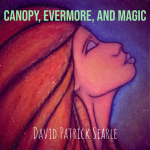 收听David Patrick Searle的Canopy歌词歌曲