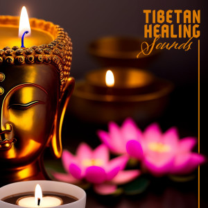 Listen to Love, Balance and Self Compassion song with lyrics from Laughing Buddha Universe