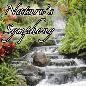 Genesis的專輯Nature's Symphony: Music from Outdoors, Nature, Environment, Earth, and Life