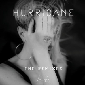 ดาวน์โหลดและฟังเพลง Hurricane (MD Electro Mix) พร้อมเนื้อเพลงจาก Bird