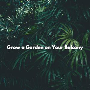 Album Grow a Garden on Your Balcony from Bossa Lounge Deluxe