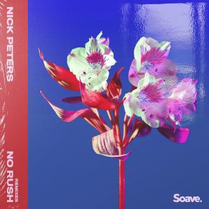 Listen to No Rush (Glaceo Remix) (Glaceo Remix|Explicit) song with lyrics from Nick Peters