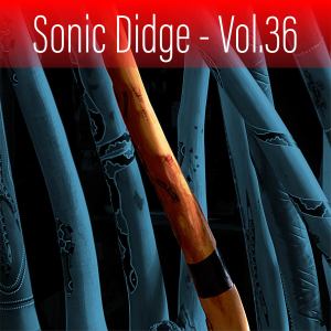 Ash Dargan的专辑Sonic Didge, Vol. 36