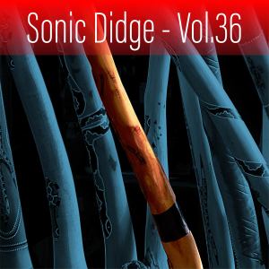 Album Sonic Didge, Vol. 36 from Ash Dargan