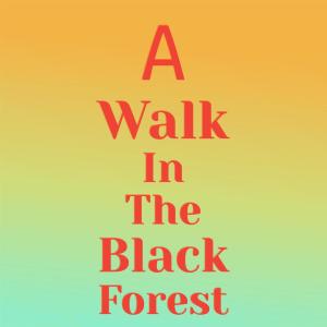 A Walk In The Black Forest dari Silvia Natiello-Spiller