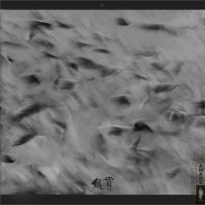 收聽醒山AwakeMountains的魚貫歌詞歌曲