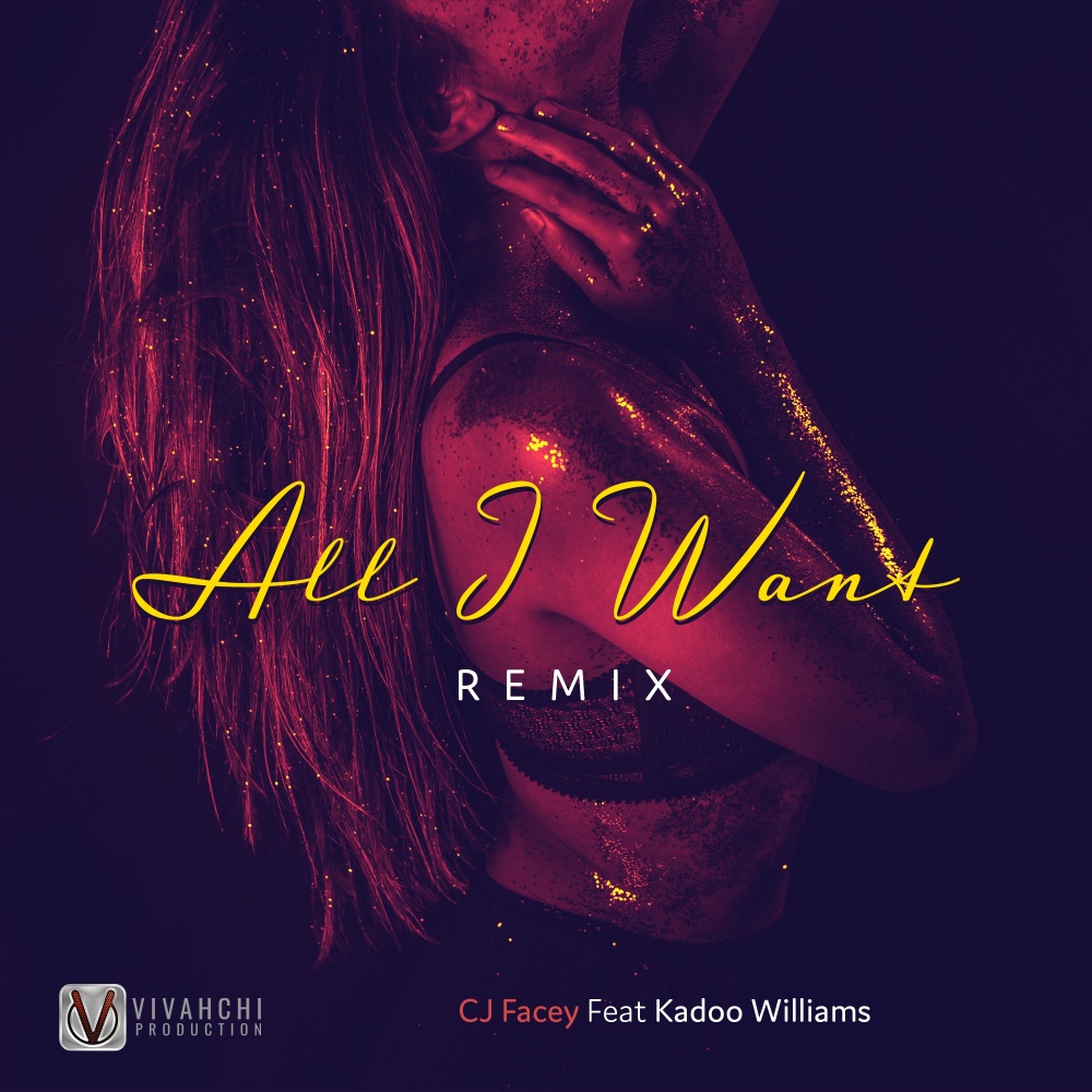 All I Want (Remix)