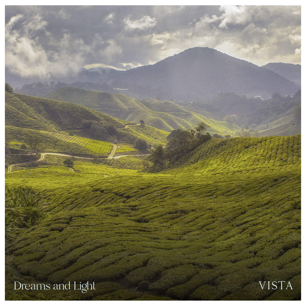 Vista