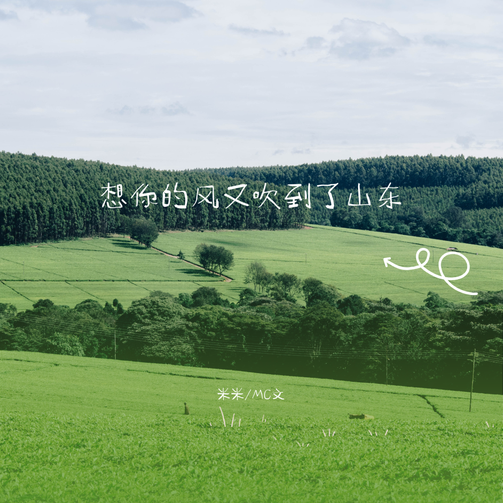 想你的风又吹到了山东 (伴奏)