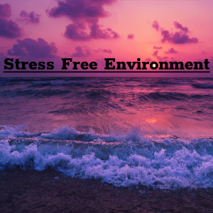 Listen to Relaxing Therapy song with lyrics from Peace