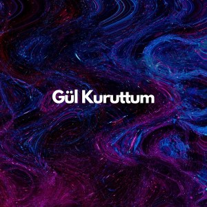 Dengarkan lagu Gül Kuruttum nyanyian Dilek Türkan dengan lirik