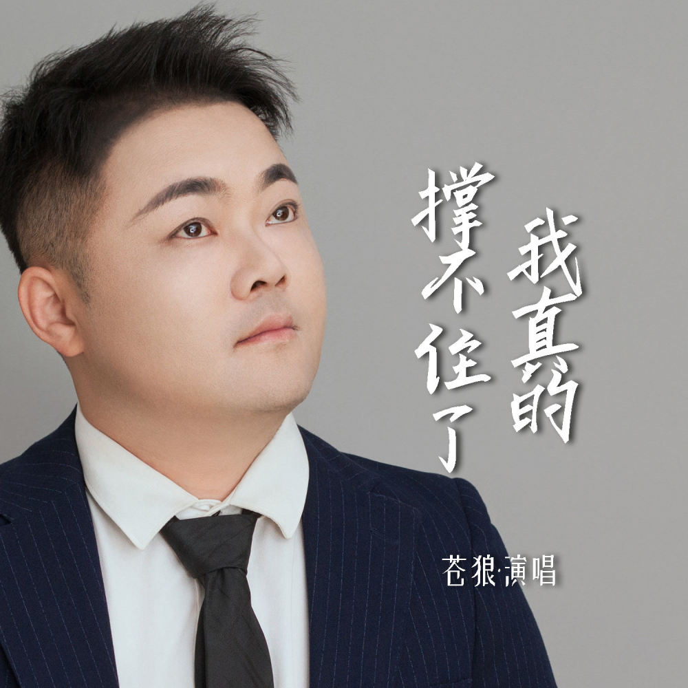 我真的撑不住了 (伴奏)
