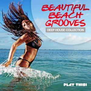 Beautiful Beach Grooves dari Various Artists