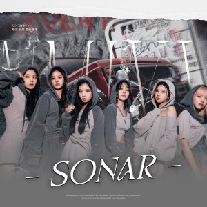 Listen to Soñar (Breaker) (cover: NMIXX) (完整版) song with lyrics from 羊pp