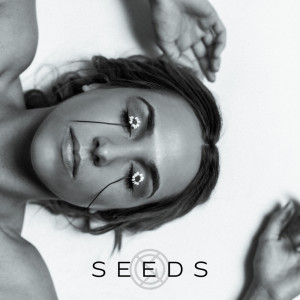 ดาวน์โหลดและฟังเพลง Seeds พร้อมเนื้อเพลงจาก Icon For Hire