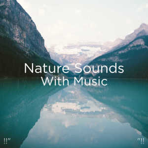 收听BodyHI的Nature Music歌词歌曲