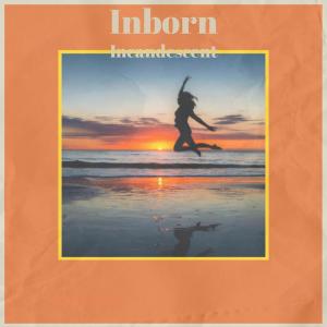 Album Inborn Incandescent from Various