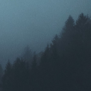 Album sense from 