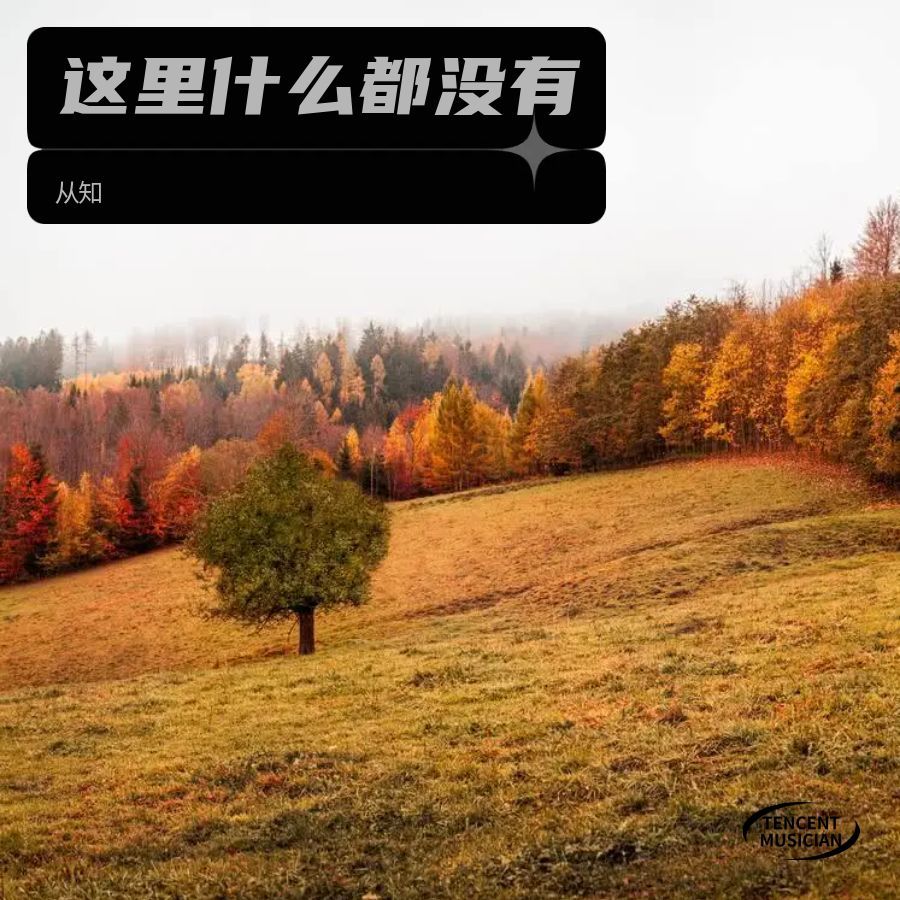 这里什么都没有 (Demo)