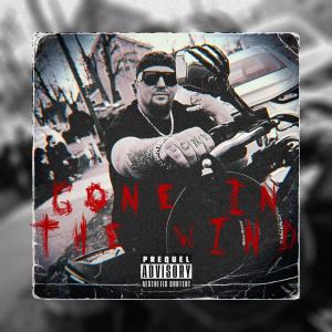 Gone In The Wind (Explicit)