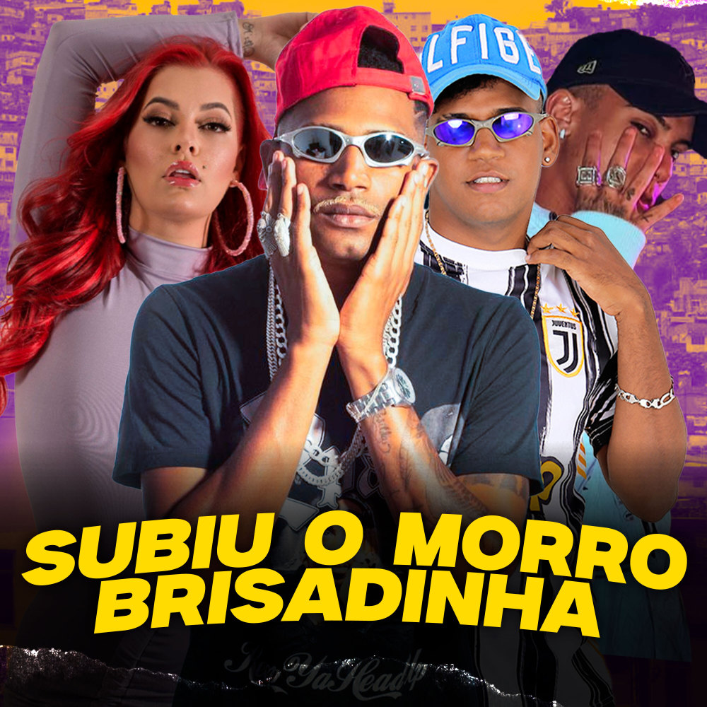 Subiu o Morro Brisadinha (feat. Mc Mari & Leozera no Beat)