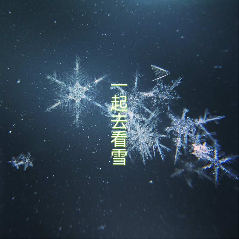雪中情