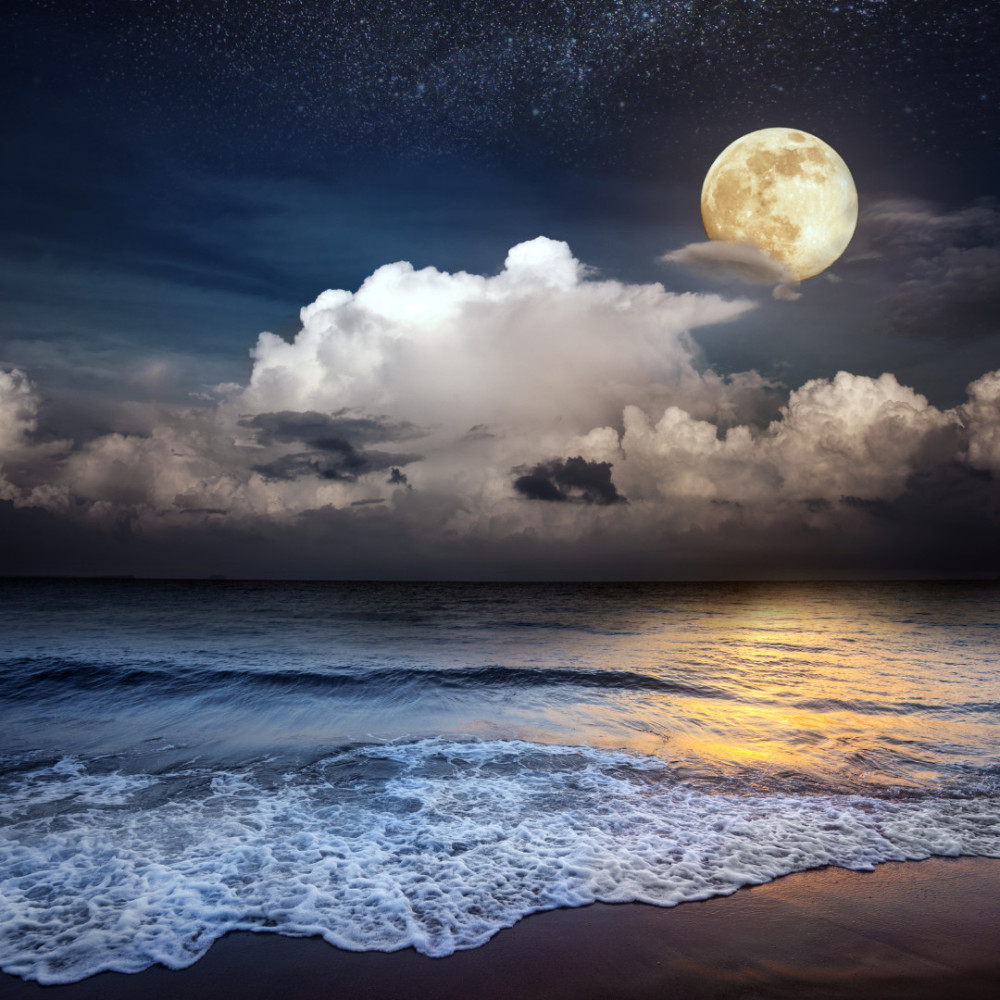 Aria of Coastal Sleep Oasis
