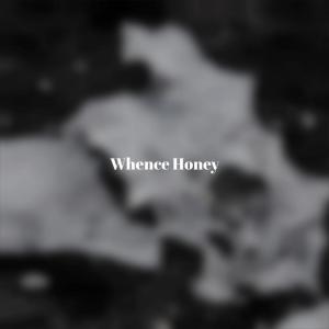 Listen to Crash Ourselves song with lyrics from Marda Ceci