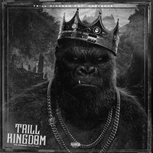 Listen to Go 2 Hell (feat. Kxngx00) (Explicit) song with lyrics from Trill Kingdom Ent.