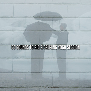 Album 53 Sounds To Aid A Calming Yoga Session oleh White Noise Meditation