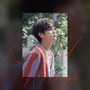 Listen to Knotted Wings song with lyrics from AIVAN