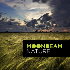 收聽Moonbeam的Nature (Ryan Davis Glowfly Lap Dance Remix)歌詞歌曲