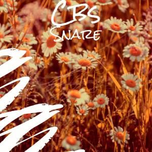 Listen to Persuade Nose song with lyrics from Samon Pilane