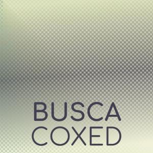 อัลบัม Busca Coxed ศิลปิน Various