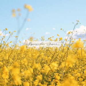 ดาวน์โหลดและฟังเพลง Wie leuchtende Sterne am Himmel พร้อมเนื้อเพลงจาก Romantic Cheese