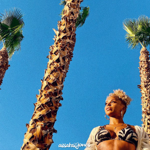 Album Palm Trees from Assata Jones