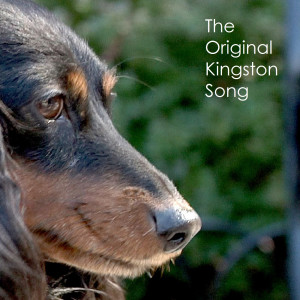 Dengarkan lagu "the Original Kingston Song" (feat. Colton Frost, Mr. Matt & A&A) nyanyian The Original Kingston dengan lirik