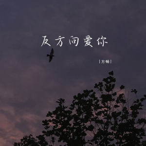 Album 反方向爱你 from 方畅