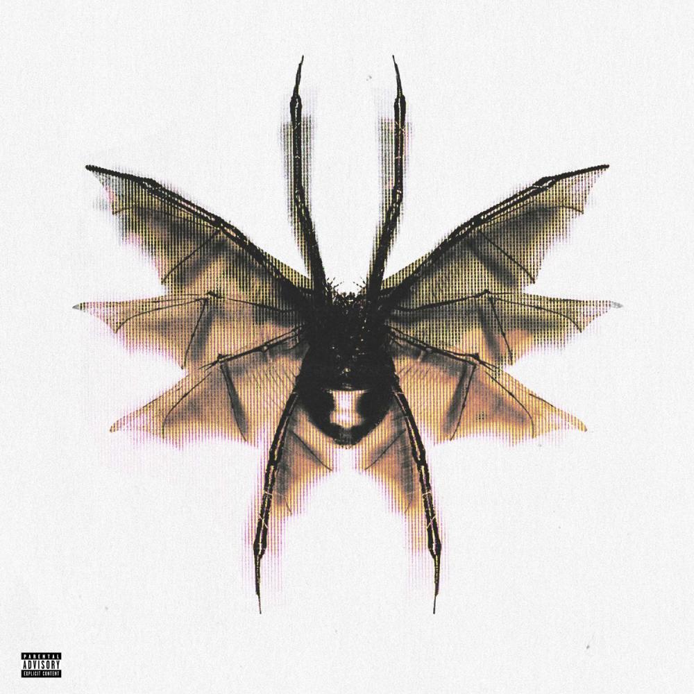 anti (Explicit)