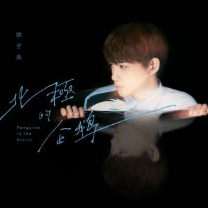 Listen to 北极的企鹅 song with lyrics from 徐子未