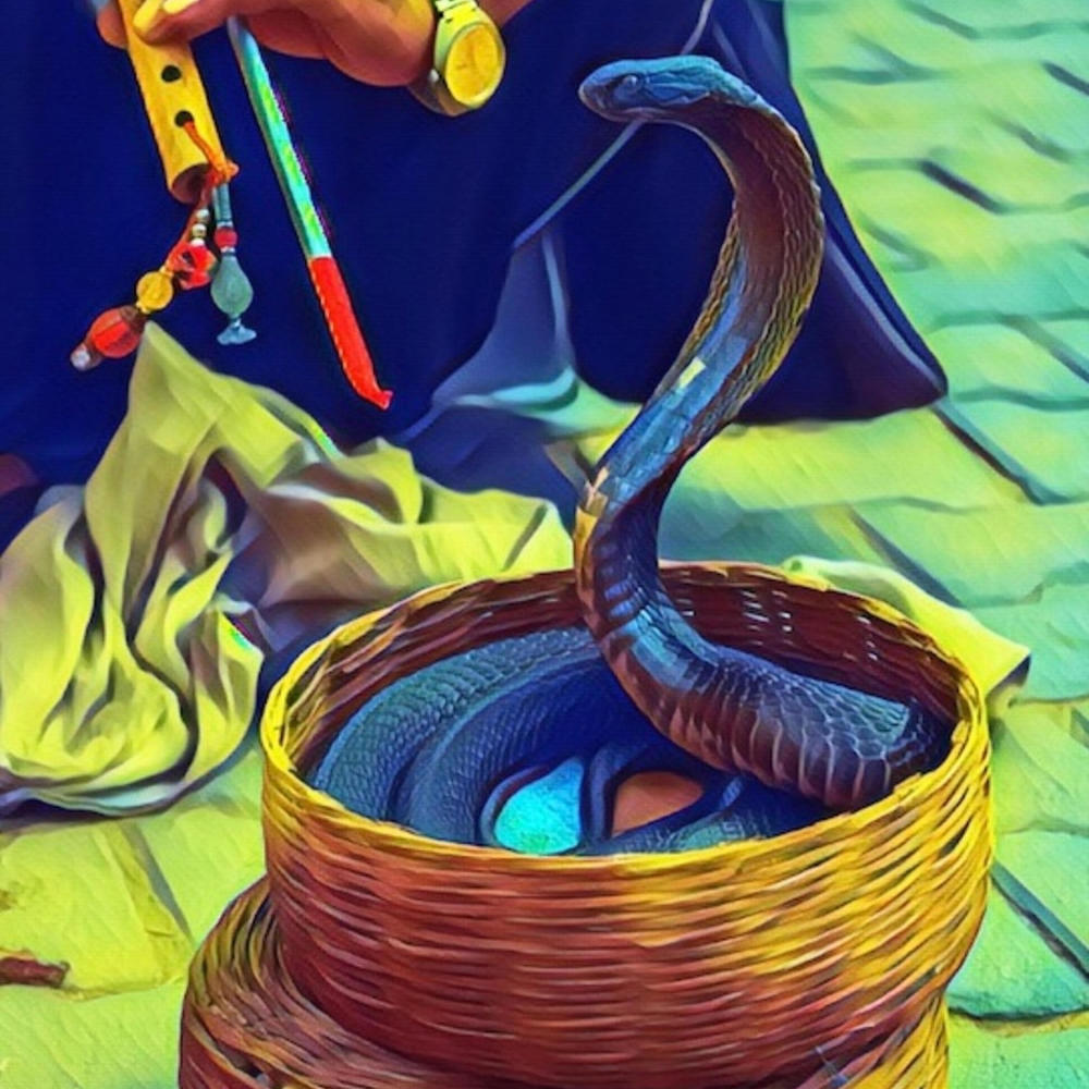 Snake Charmer