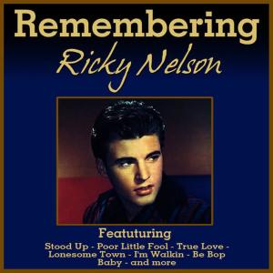 ดาวน์โหลดและฟังเพลง Teenage Idol พร้อมเนื้อเพลงจาก Ricky Nelson